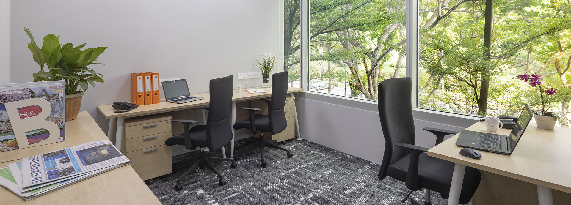 Serviced Offices